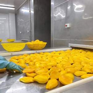 Mango seco suave de etiqueta privada de Vietnam Premium Chewy Snack Calidad orgánica para el mercado de exportación - Product Image 5