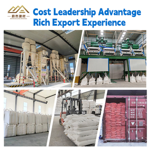 <strong>Micro</strong> <strong>Silica</strong> <strong>Fume</strong> for Concrete Grade <strong>92</strong> Powder 96% Purity <strong>Micro</strong> <strong>Silica</strong> <strong>Fume</strong> for Concrete <strong>92</strong>% Purity for Glass Usage - Product Image 3