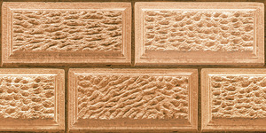Azulejos de pared de primera calidad Asia Tiles Elevation Tiles de 300x600 mm para villas de lujo. - Product Image 4