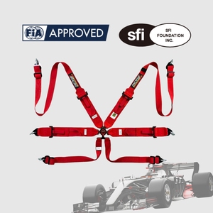 Cinturón de Seguridad Deportivo de 6 Puntos para Carreras, FIA 8853-2016, SFI 16.1, TBRACING SPORT S, Fabricación OEM/ODM - Product Image 2