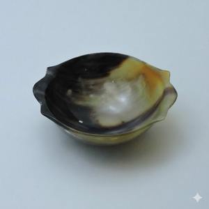 Bol décoratif en corne émaillée de haute qualité, plat de service, 100% naturel, personnalisé, pour la présentation de fruits - Product Image 2