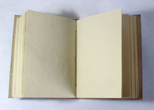 Magnifique carnet imprimé en papier, couleur bleu ciel, avec motif bananier gaufré sur le devant - Product Image 4