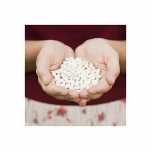 Frijoles blancos disponibles para la venta en grandes cantidades para distribuidores de alimentos a nivel mundial - Product Image 3