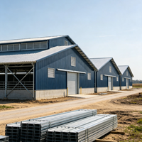 Bâtiment d'élevage avicole préfabriqué en acier personnalisé, structure en poutre H Q355B, entrepôt agricole résistant aux vents et aux neiges
