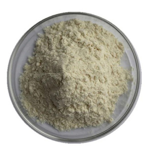 Proteasa Alcalina de Alta Calidad, Aditivo Alimentario, 200000 U/g, Proteasa Alcalina en Polvo - Product Image 1