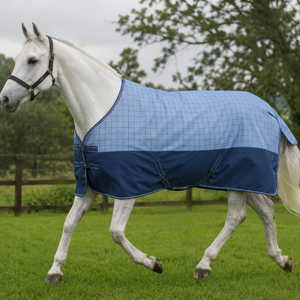 Couverture d'extérieur hybride de luxe pour chevaux, 1200 deniers Oxford, protection hivernale, bleu clair à carreaux Gingham, bas bleu uni - Product Image 5