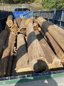 ไม้แปรรูปไม้อะคาเซียบอร์ดไม้แข็งส่งตรงจากโรงงานเวียดนามในราคาที่ดี - Product Image 3