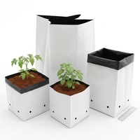 Sac de culture en cocofibre organique à faible teneur en EC, plaque de coco compressée pour la culture hydroponique de tomates et de fraises en serre, exportation
