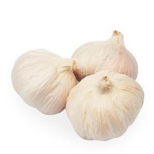 Bulbos de Ajo Blanco Fresco Natural Preparados para Compra al por Mayor por Importadores que Buscan Productos Recién Cosechados y Empacados - Product Image 2