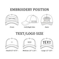Gorra de Béisbol Personalizada de 6 Paneles con Logotipo Bordado en 3D, Visera Curva, Cierre de Gancho y Bucle, Gorra Casual Premium