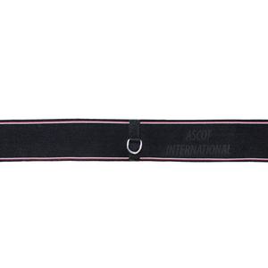 Meilleure vente de sangle d'équitation élastique avec raccords en PP synthétique Ss Equipement pour chevaux - Product Image 5