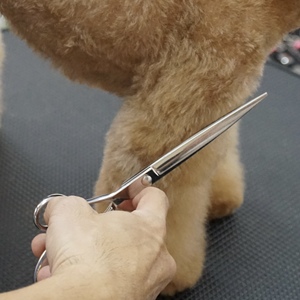 Ciseaux droits pour animaux de compagnie élégants de 7 pouces en acier inoxydable japonais argenté, poignée décalée, écologiques, faciles à utiliser, pratiques - Product Image 4