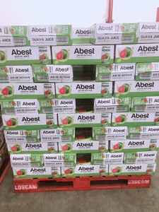 Jus de fruits tropicaux concentré de haute qualité du Vietnam, boissons aux fruits aromatisées, faible teneur en glucides, OEM ODM, marque privée - Product Image 6