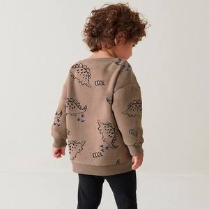 Conjunto Deportivo Informal de Primavera para Niños |   Conjunto de Pantalones y Sudadera con Capucha de Algodón Transpirable Unisex, Nuevo Diseño, Traje Deportivo para Niños de Primavera |   Sudadera con Capucha de Moda - Product Image 3