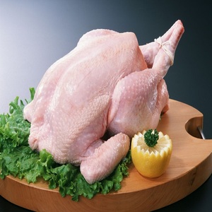 ไก่แช่แข็งพรีเมียมแบบ BQF ไร้หนัง ไร้กระดูก ฮาลาล ออร์แกนิก ไก่ทั้งตัว พร้อมวิตามิน ลดโซเดียม ปราศจากกลูเตน บรรจุกล่อง - Product Image 5