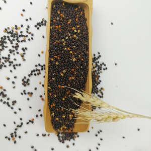 Mijo Proso Indio Orgánico Premium, Sin Gluten, Grano Entero, Cortado al Estilo Steel-Cut, Limpio, Seco, de Grado Alimenticio para Cocinar Saludablemente - Product Image 4