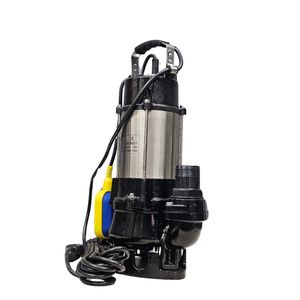 Bomba sumergible Showmen de 1hp al mejor precio con motor de cobre para tratamiento de agua potable - Product Image 1