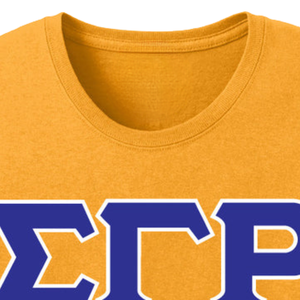 T-shirt personnalisé Sigma Gamma Rho 3 avec lettres grecques brodées, tee-shirt de sororité, haut décontracté en coton, vêtements universitaires, streetwear, vente en gros - Product Image 3