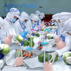 น้ำมันมะพร้าวบริสุทธิ์1000มล. ขวดจากเวียดนามขายส่งจำนวนมาก - Product Image 2