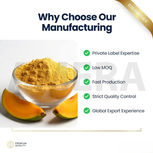 Poudre de mangue en vrac lyophilisée 100% naturelle |   Fabricant de poudre de jus de mangue - Product Image 4