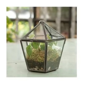 Unique Indoor Metal Terrarium Glass Plant Holder Decorative Geometric Display Box Home Accent - Product Image 1