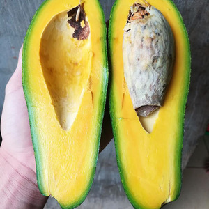 Avocat congelé |   Meilleur prix, avocat 100% biologique de haute qualité pour smoothies, en provenance du Vietnam - Product Image 2