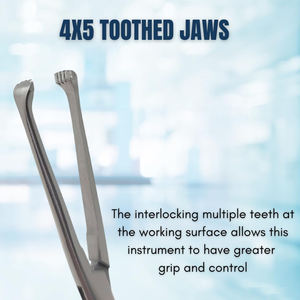 Fabricant d'instruments chirurgicaux, forceps Allis en acier inoxydable, forceps chirurgicaux médicaux réutilisables Allis - Product Image 2