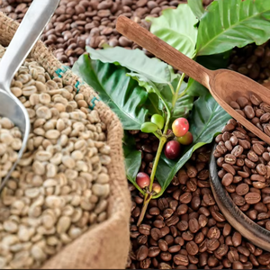 USDA Certified Specialty <b>Robusta</b> Green <b>Coffee</b> <b>Beans</b> S16 from Vietnam Factory, Bulk Quantity, ISO22000 Certificate, MOQ Flexible - Product Image 1