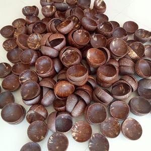 Beau bol en coquille de noix de coco crue de haute qualité Récipients alimentaires écologiques pour servir Fabriqué au Vietnam 2025 à un prix compétitif - Product Image 6