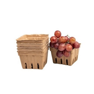 Fruit Packaging Eco-Friendly Anti Break Compostable Molded <b>Pulp</b> Tray Fresh Fruit Tray From Vietnam Manufacturer Paper Boxes - Product Image 6