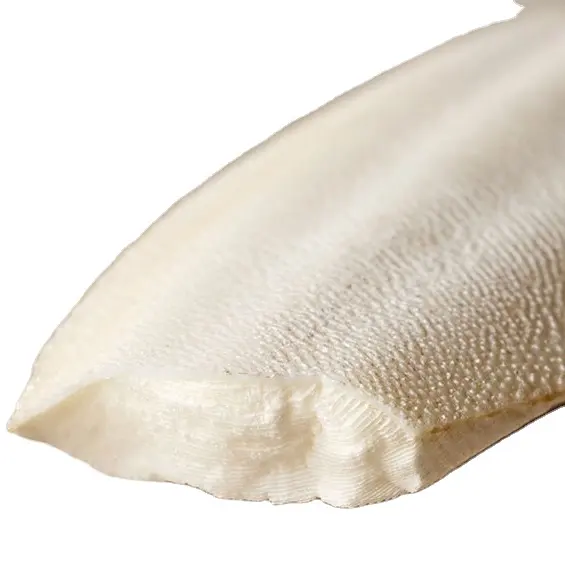 BEST EXPOERT 2024 I Dried Cuttlefish Bone Or Dried Cuttlebone I cuttlefish bone for bird made in Vietnam