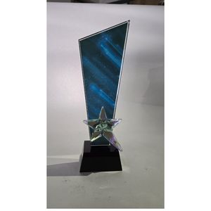 Elegant Crystal <b>Trophy</b> with Custom Logo <b>Engraving</b> for Professional Use - Product Image 2
