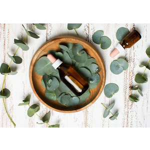 Eucalyptus <b>Essential</b> <b>oil</b> ( Eucalyptus Globolus) - Product Image 1