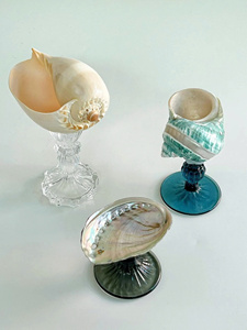 Wholesale Handmade Lightweight Reusable Easy Clean Glass Conch Shell Cocktail Glass Coastal Design Wedding <b>Beer</b> 20-100ml - Product Image 4