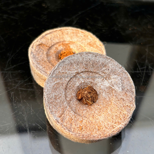 Discos de Fibra de Coco Natural de Vietnam para Camas de Reptiles y Cultivo de Plantas, Suministro a Granel con Precio Competitivo - Product Image 5