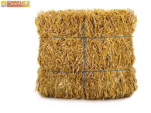 Premium Quality Natural Sun-<b>Dried</b> <b>Wheat</b> Straw Hay Bales Protein Enriched Animal Feed for Cattle Horses Camels Sheep - Product Image 3