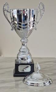 Trofeo Metálico de Lujo Más Vendido para Eventos de Reconocimiento y Motivación de Empleados Disponible a Precio de Fábrica - Product Image 5