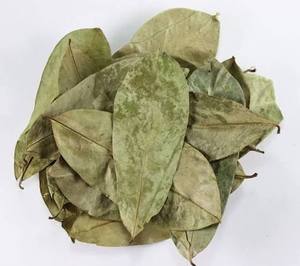 Premium Dried Soursop Graviola Leaves Loose Leaf Herbal <b>Tea</b> Natural Plant Material Bulk Packaging Vietnam Export - Product Image 4