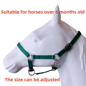 Cabestros de Nailon Ajustables y Duraderos para Caballos con Acolchado Suave y Herrajes Resistentes al Óxido, Precio Económico, Mejor Cabestro para Caballos, Precio al por Mayor - Product Image 6