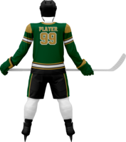 Uniforme de Hockey sobre Hielo Ajustable 2026, Pantalones Cortos y Camiseta Sublimados Personalizados, 100% Poliéster de Secado Rápido, Unisex