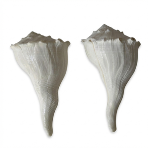 Grandes lampes de sel de l'Himalaya sculptées imitation antique, blanc, pour décoration de mariage sur la plage, fournitures de bricolage, vente en gros, polies, thème océan, en vrac - Product Image 1