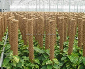 Poteaux de croissance pour plantes en fibres de coco naturelles enveloppées de PVC, idéaux pour le soutien des plantes grimpantes dans les jardins domestiques et les serres. - Product Image 4