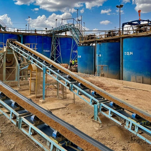 Full Set Fosfor Erts Flotatie Productie Verwerkingslijn Fosfaat Erts Grafiet Beneficiatie Proces Fabriek - Product Image 4