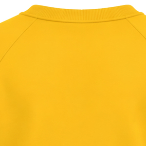 <b>Yellow</b> Women's Crew Neck Sweatshirt White Greek Letter 1922 Graphic Blue Double Sleeve Stripes Long Sleeve Casual Collegiate <b>Top</b> - Product Image 6