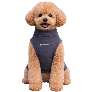 เสื้อยืดกันแดดสำหรับสุนัข สีเทาเข้ม น้ำหนักเบา ป้องกันรังสียูวี เสื้อสำหรับสัตว์เลี้ยงฤดูร้อน เนื้อผ้านุ่ม ยืดหยุ่น ระบายอากาศได้ดี เสื้อผ้าสำหรับสุนัขแบบเย็นสบาย - Product Image 1