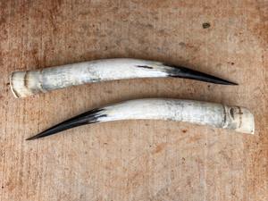 Décoration murale en corne de bison polie, design Art Déco, grande taille de 35 à 40 pouces, pour mariage, anniversaire - Product Image 4