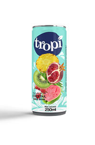 เครื่องดื่มน้ำผลไม้รสกำหนดเองค็อกเทลไม่มีส่วนผสมจากธรรมชาติเข้มข้น250มล./330มล./500มล. อลูมิเนียมสามารถได้รับการรับรองฮาลาล - Product Image 4