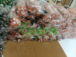 หุ่นจำลองนกกระทาพิมพ์ลายสำหรับฝึกสุนัขกลางแจ้ง ขายส่ง ปรับแต่งสีได้ ทำจากผ้าใบ - Product Image 2