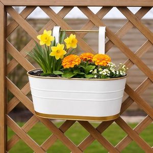 Maceta Colgante de Metal para Balcón, Maceta para Barandilla con Ganchos, Estilo Rústico, Soporte para Plantas de Ventana, Decoración - Product Image 6