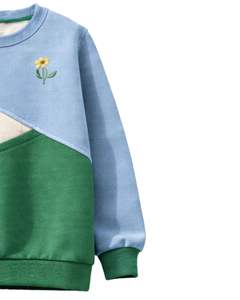 Sweat-shirt en molleton personnalisé bleu ciel et vert à blocs de couleur avec fleurs brodées pour femme, col rond en mélange de coton, décontracté d'hiver, OEM - Product Image 4